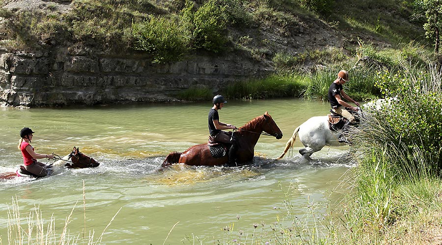 Ballades à cheval