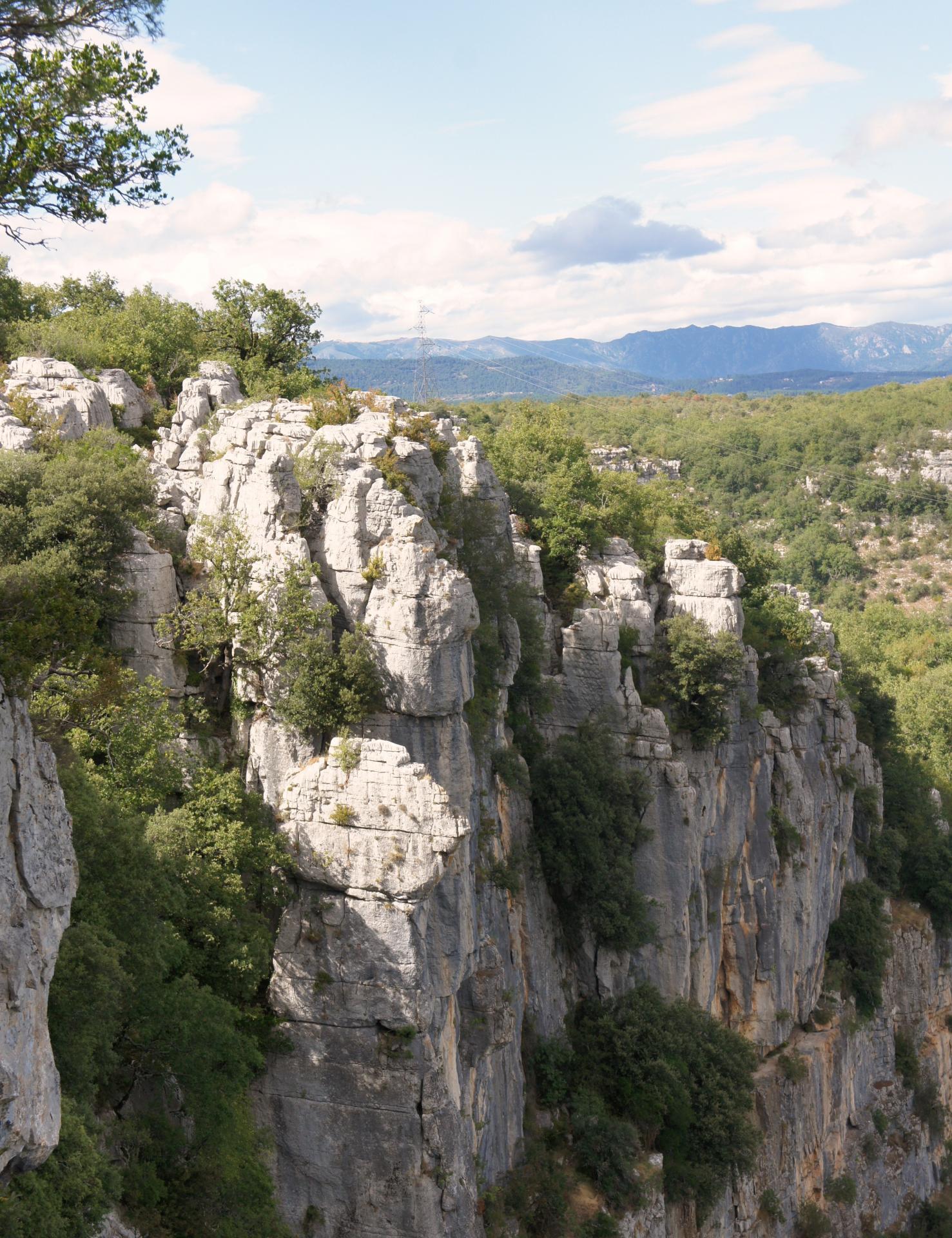 Le bois de Paîolive surplombant les gorges du Chassezac