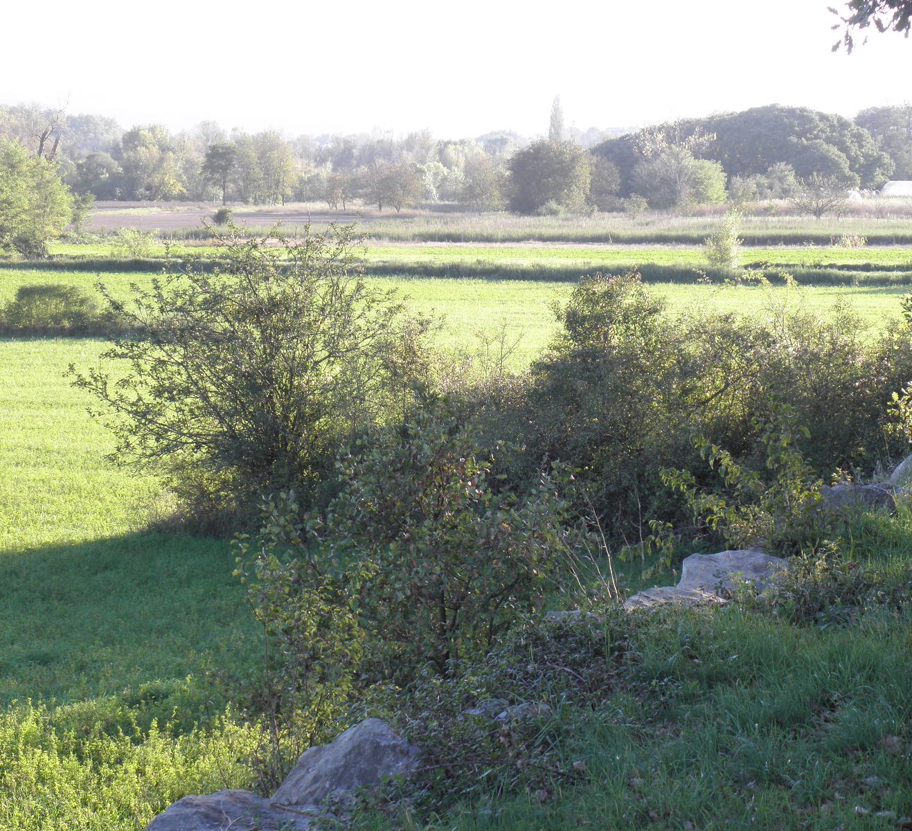 La beauté des grands espaces