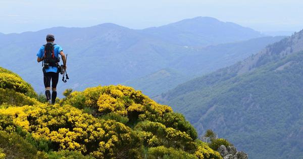 Point de vue lors de randonnées pédestres.